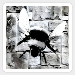 Bee Black and White Spray Paint Wall Magnet